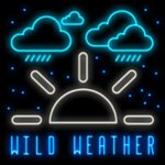 Wild Weather Slot by Tom Horn - Neonslots