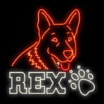 Rex - ▷ Free Slot Machine online - Casino Greentube games