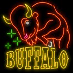 Buffalo - ▷ Free Bingo online - Casino MGA games