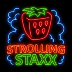 Strolling Staxx Cubic - ▷ Free Slot Machine online - Casino NetEnt games