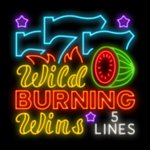 Wild Burning Wins - ▷ Free Slot Machine online - Casino Playson games