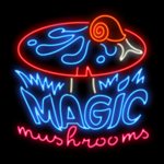 Magic Mushrooms Online Slot by Yggdrasil - Neonslots