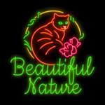 Beautiful Nature slot by Gamomat