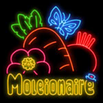 Moleionaire slot by Pragmatic Play