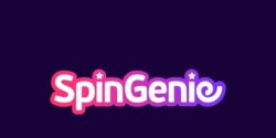 Online Casino Spingenie.com
